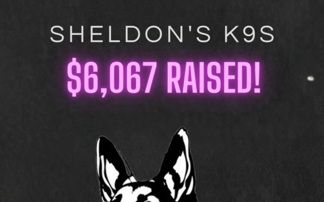 Sheldon’s K9s